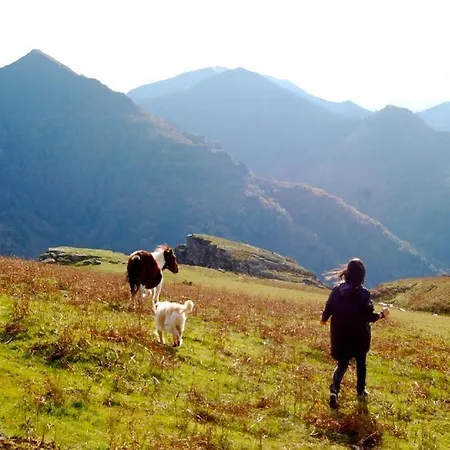 Le Moulin De Pascale 3* 埃斯珀莱特