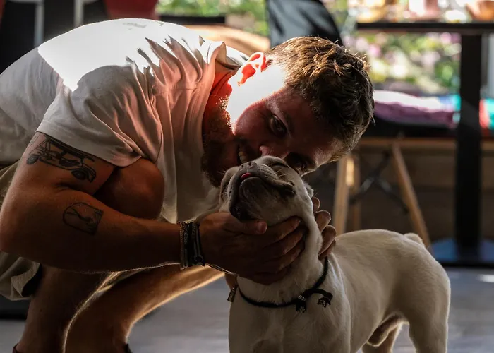 Le Moulin De Pascale Espelette