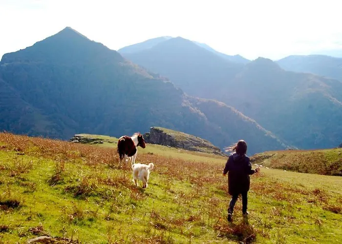 Le Moulin De Pascale 3* Espelette