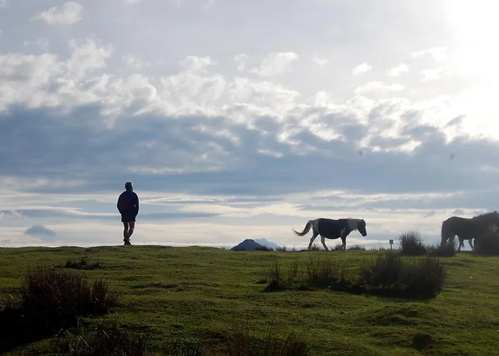 Le Moulin De Pascale Maison d'hôtes 3*