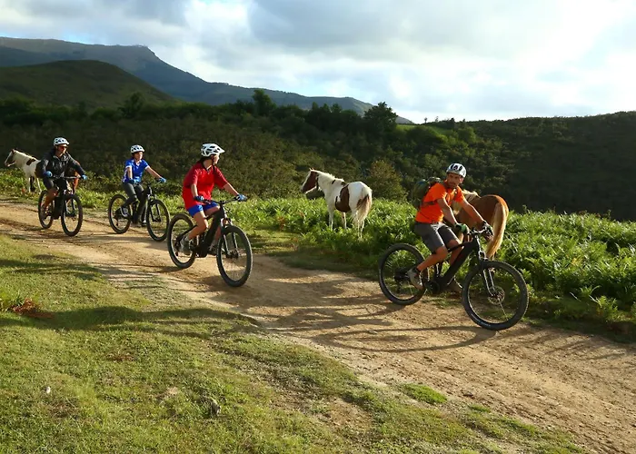 Maison d'hôtes Le Moulin De Pascale